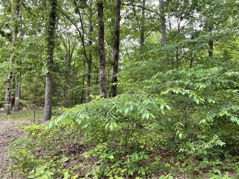 5080 Spears Rd, Centerville, TN 37033 photo 1
