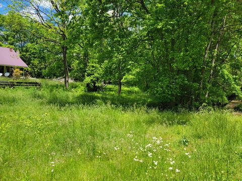 1430 Balthrop Branch Rd, Dickson, TN 37055 photo 2