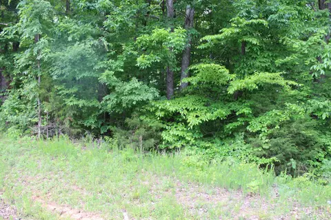 0 Crestview Dr, Dover, TN 37058 photo 4
