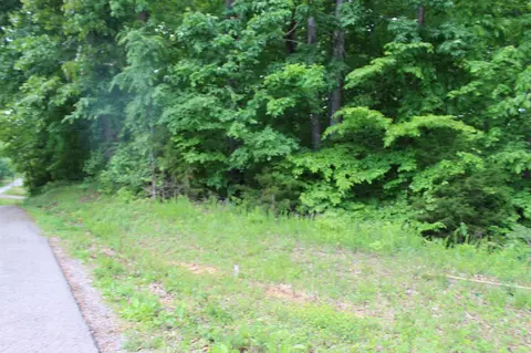 0 Crestview Dr, Dover, TN 37058 photo 3