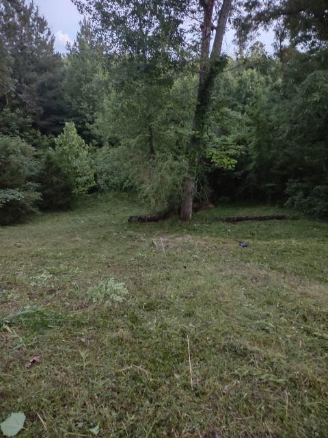 4988 New Window Cliff Rd, Baxter, TN 38544 photo 1