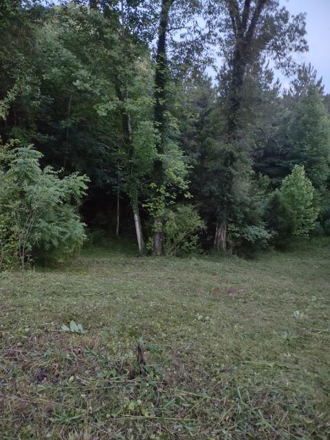4988 New Window Cliff Rd, Baxter, TN 38544 photo 3