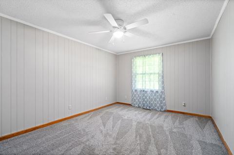 3585 Highway 48, Cunningham, TN 37052 photo 11