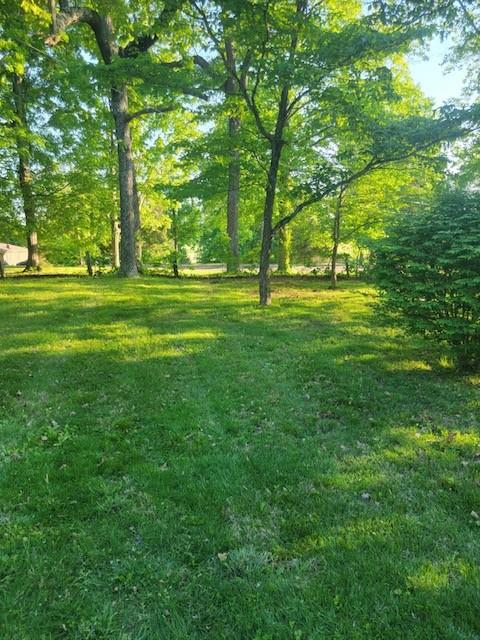 3585 Highway 48, Cunningham, TN 37052 photo 33