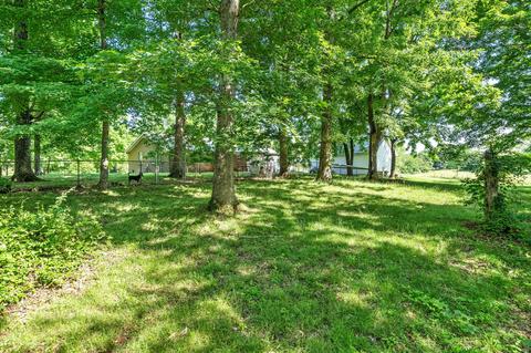 3585 Highway 48, Cunningham, TN 37052 photo 30