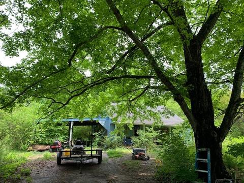 7768 Dice Lampley Rd, Fairview, TN 37062 photo 1