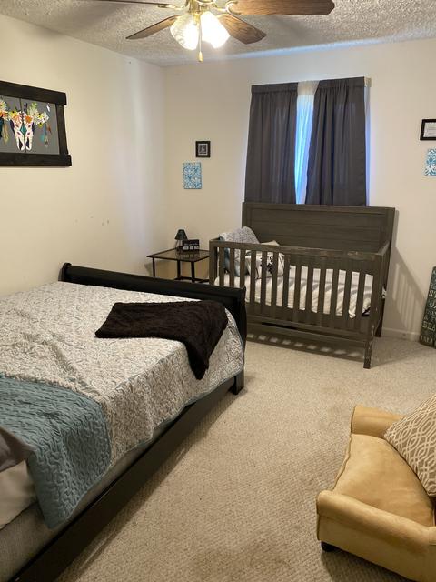 5424 Bethlehem Rd, Springfield, TN 37172 photo 19