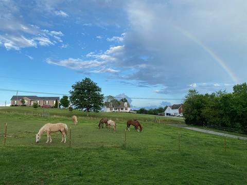 5424 Bethlehem Rd, Springfield, TN 37172 photo 8