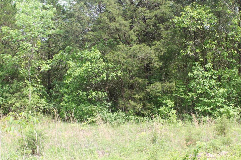 0 Mccrary Rd, Lebanon, TN 37090 2 Photos MLS 2261398