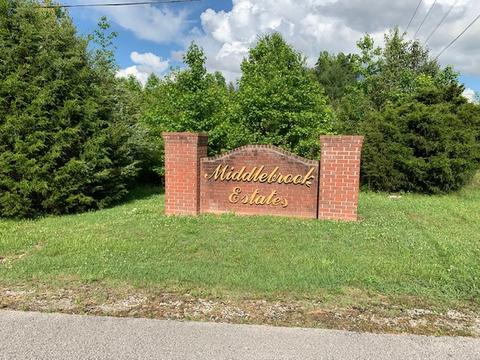 109 Stephanie Ln, Baxter, TN 38544 photo 1