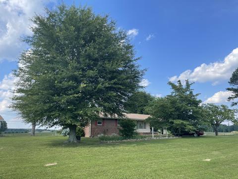66 Union Hill Rd, Loretto, TN 38469 photo 3