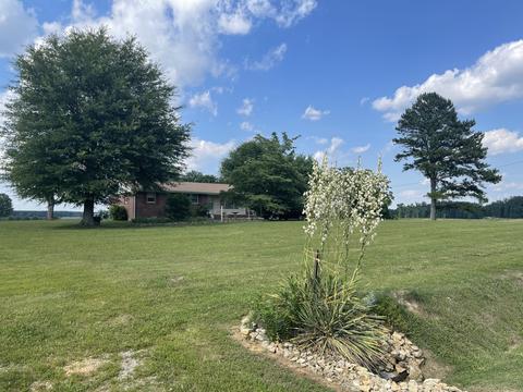 66 Union Hill Rd, Loretto, TN 38469 photo 1