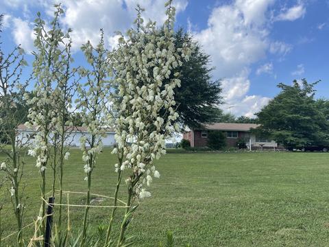 66 Union Hill Rd, Loretto, TN 38469 photo 27