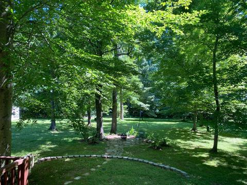 6621 Bethlehem Rd, Springfield, TN 37172 photo 19