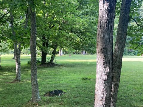 6621 Bethlehem Rd, Springfield, TN 37172 photo 25