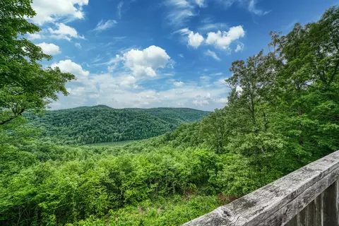 301 E Sunset Blvd E, Allons, TN 38541 photo 10