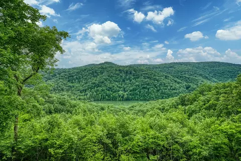 301 E Sunset Blvd E, Allons, TN 38541 photo 9