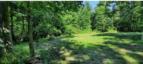 1088 Pack Rd, White Bluff, TN 37187 photo 14