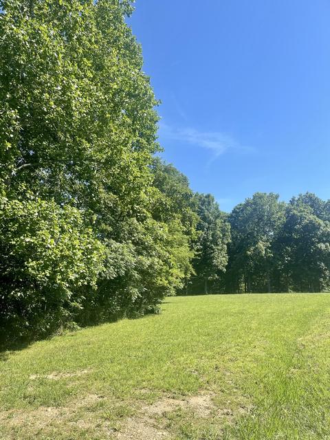 1088 Pack Rd, White Bluff, TN 37187 photo 2