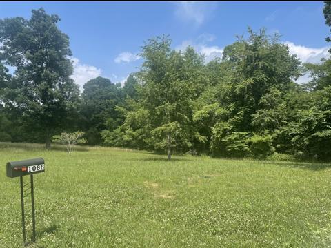 1088 Pack Rd, White Bluff, TN 37187 photo 3
