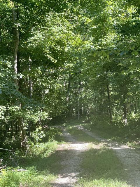 1088 Pack Rd, White Bluff, TN 37187 photo 4