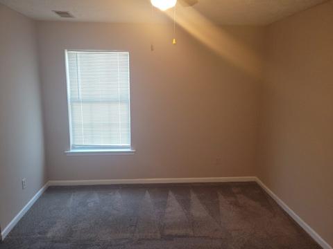 53 Springtime Cv, Jackson, TN 38305 photo 15