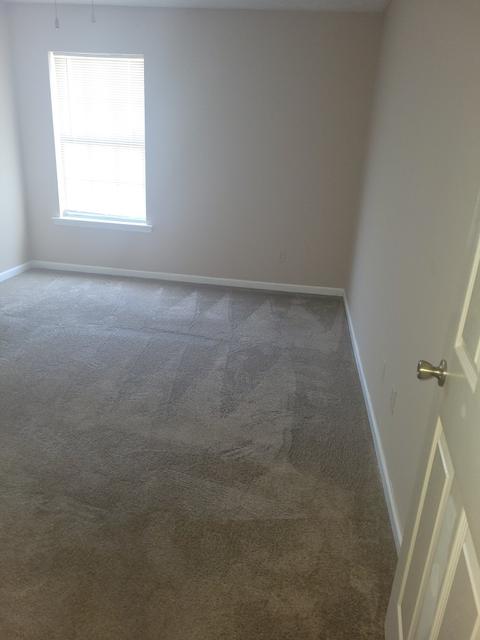 53 Springtime Cv, Jackson, TN 38305 photo 16
