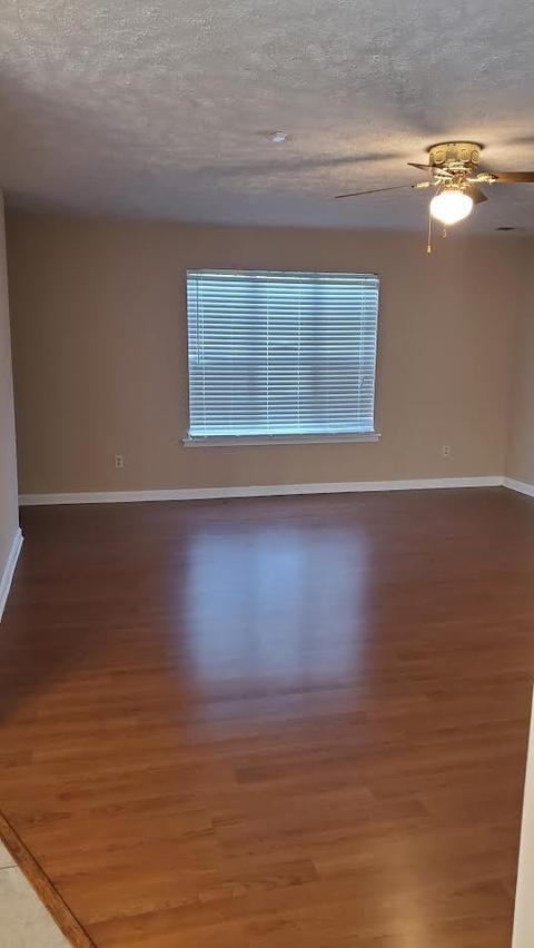 53 Springtime Cv, Jackson, TN 38305 photo 13