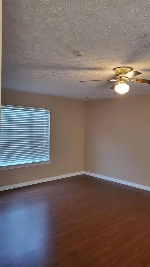 53 Springtime Cv, Jackson, TN 38305 photo 12