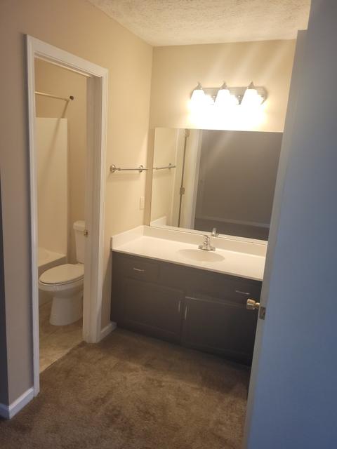 53 Springtime Cv, Jackson, TN 38305 photo 20