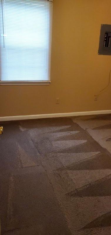 53 Springtime Cv, Jackson, TN 38305 photo 9