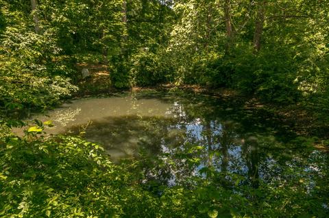 791 Rogues Fork Rd, Bethpage, TN 37022 photo 48