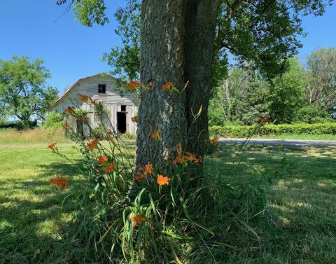 1333 Shoemaker Rd, Eagleville, TN 37060 photo 3