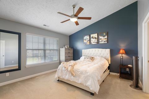 319 Golfview Ln, Springfield, TN 37172 photo 16