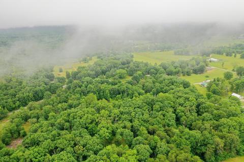 1302 Monteagle Falls Rd, Monteagle, TN 37356 photo 2