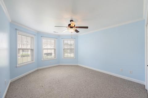 3003 Helfrich Ct, Spring Hill, TN 37174 photo 29