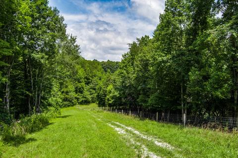 3708 Three Island Rd, Walling, TN 38587 photo 26