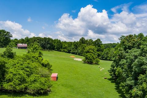 3708 Three Island Rd, Walling, TN 38587 photo 17