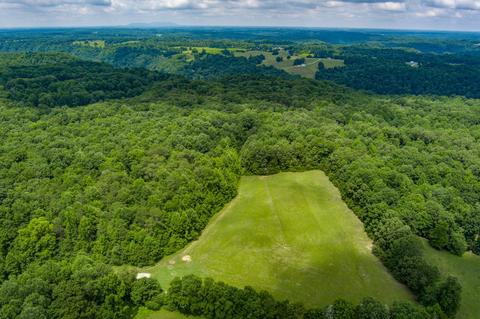 3708 Three Island Rd, Walling, TN 38587 photo 4