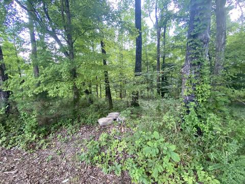 4908 Marion Rd, Cunningham, TN 37052 photo 5