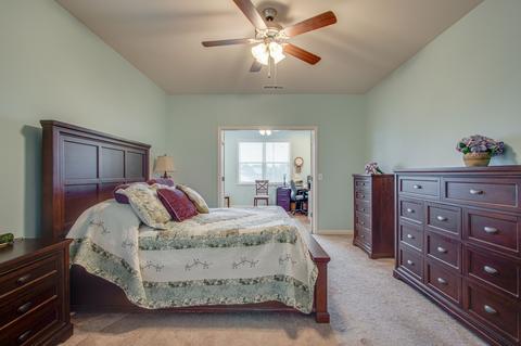 3018 Alan Dr, Spring Hill, TN 37174 photo 18