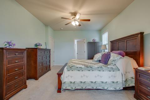3018 Alan Dr, Spring Hill, TN 37174 photo 19