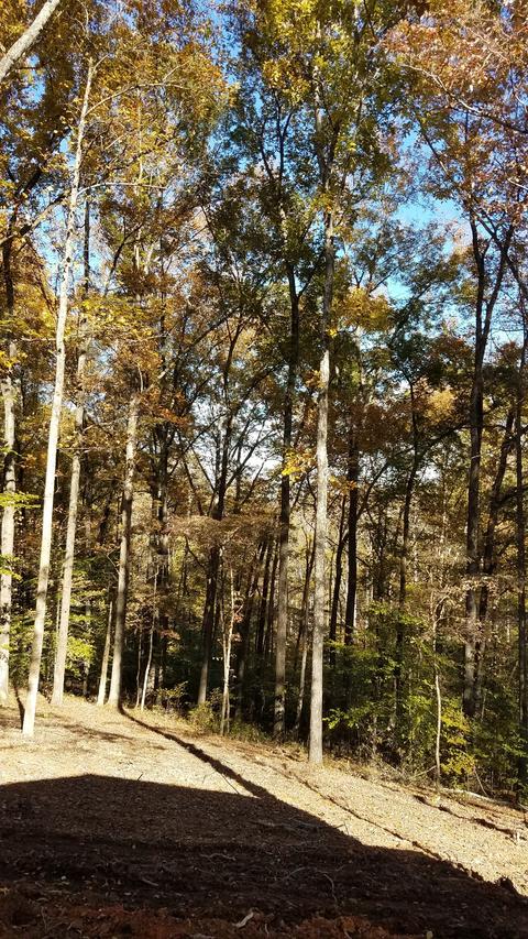 7573 King Rd, Fairview, TN 37062 photo 57