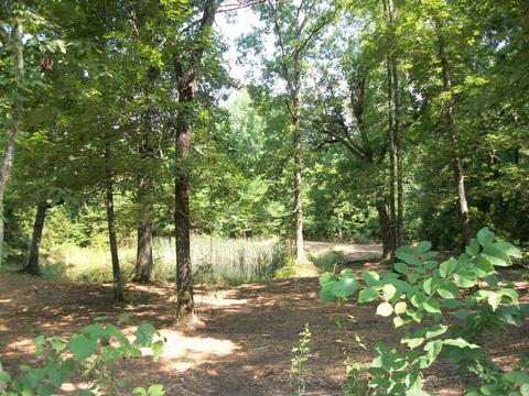 8902 E Gum Rd, Murfreesboro, TN 37127 photo 3