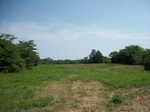 8902 E Gum Rd, Murfreesboro, TN 37127 photo 5