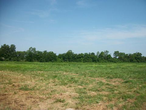 8902 E Gum Rd, Murfreesboro, TN 37127 photo 7