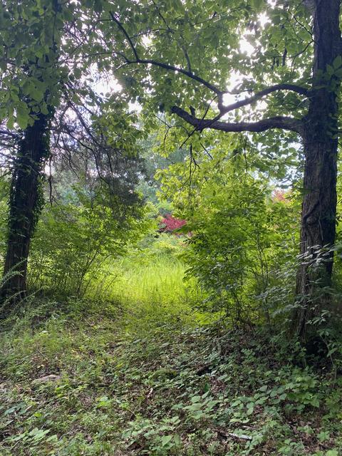 1340 Case Rd, Prospect, TN 38477 photo 7