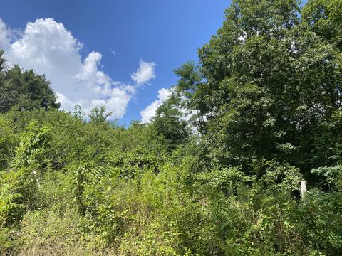 1340 Case Rd, Prospect, TN 38477 photo 6