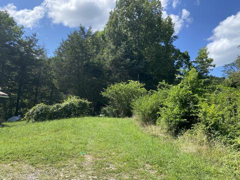 1340 Case Rd, Prospect, TN 38477 photo 1
