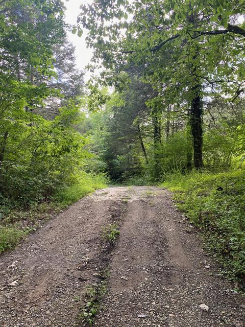 1340 Case Rd, Prospect, TN 38477 photo 2